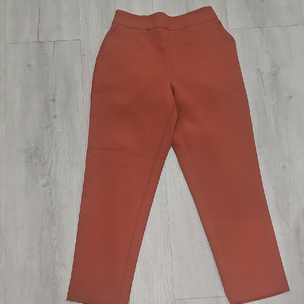 Forever 21 Burnt Orange Pants